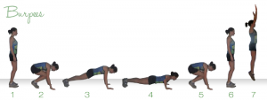 Burpees - A great way to burn calories